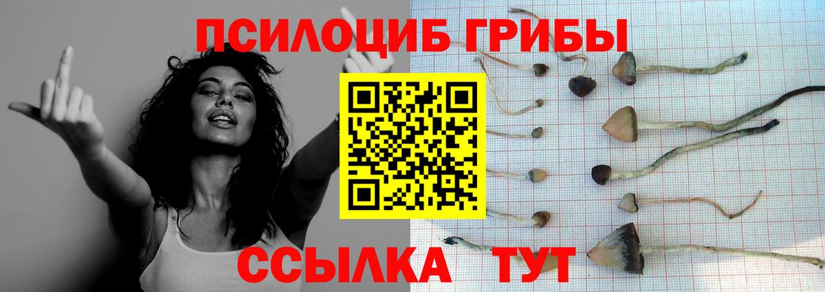Галлюциногенные грибы Psilocybine cubensis  Вход с VPN  Коряжма 
