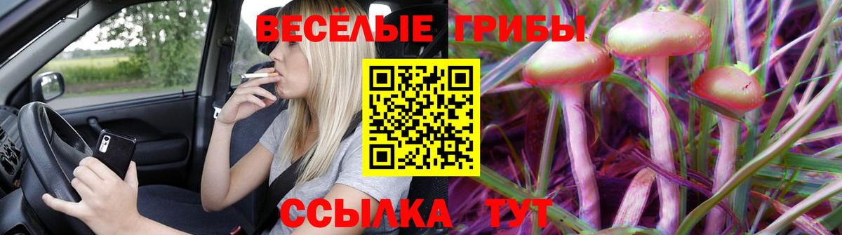 Псилоцибиновые грибы GOLDEN TEACHER Коряжма